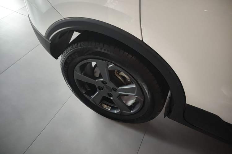 Used Geometry E 2022 320KM Cute Tiger 5-Seater Exterior 5
