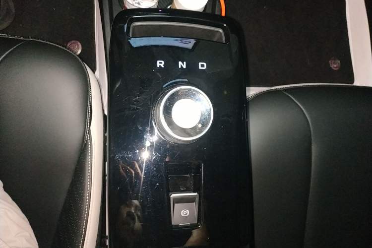Used Geometry E 2022 401 km Linglong Tiger 4 Seats Gear Lever
