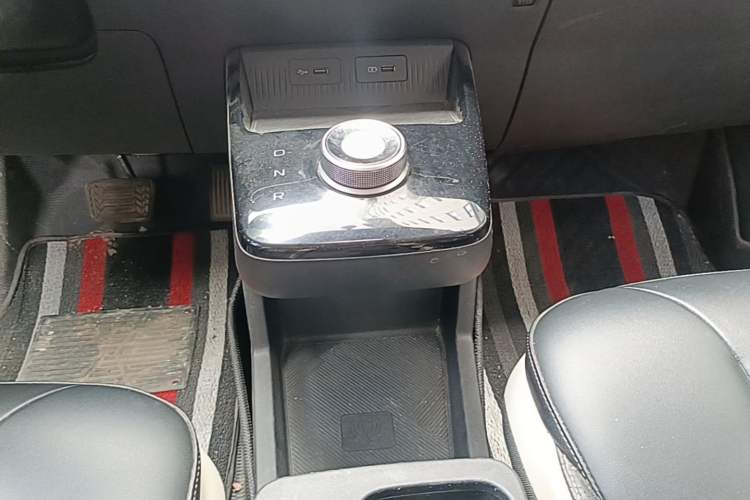 Used Geometry E 2022 320KM Cute Tiger 5-Seater Gear Lever