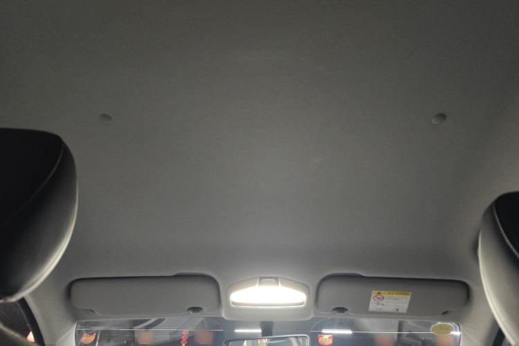 Used Geometry E 2022 320KM Cute Tiger 5-Seater Headliner