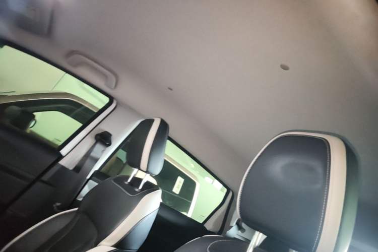 Used Geometry E 2022 320KM Cute Tiger 5-Seater Headliner