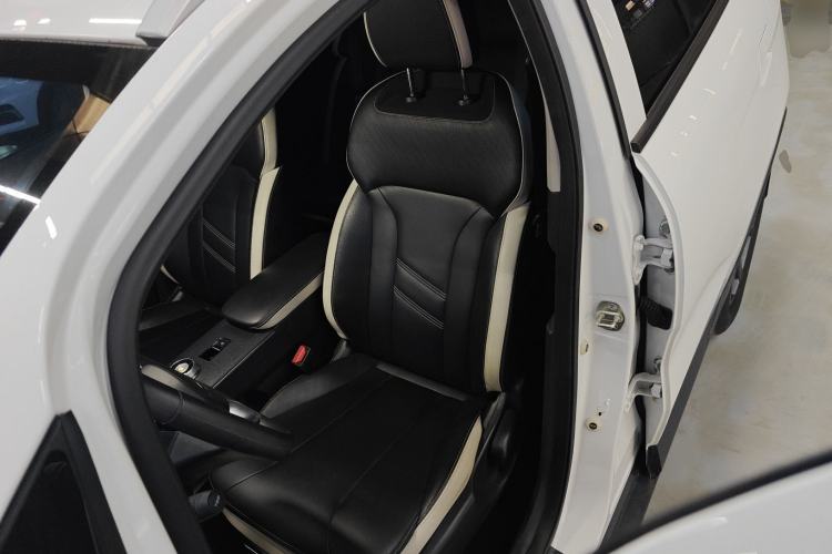Used Geometry E 2022 320KM Cute Tiger 5-Seater Left Front Seat