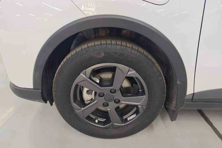Used Geometry E 2022 320KM Cute Tiger 5-Seater Left Front Wheel Hub