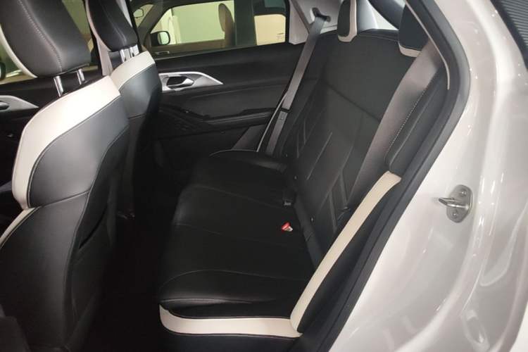 Used Geometry E 2022 320KM Cute Tiger 5-Seater Left Rear Seat