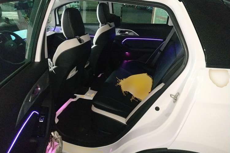 Used Geometry E 2022 401 km Linglong Tiger 4 Seats Left Rear Seat