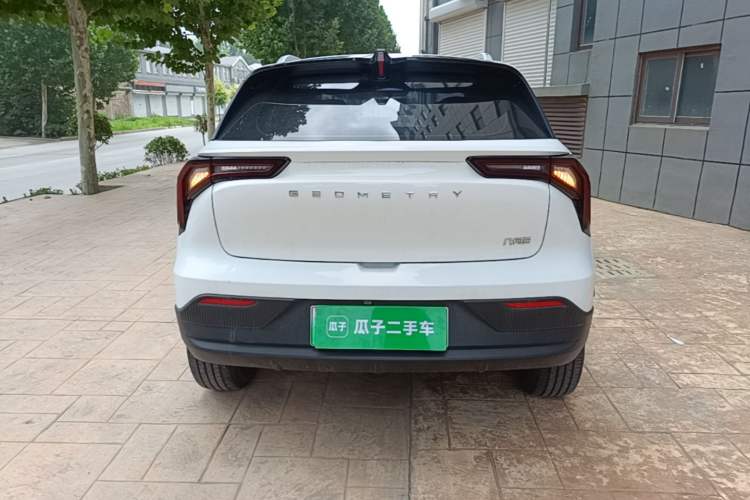 Used Geometry E 2022 320KM Cute Tiger 5-Seater Rear