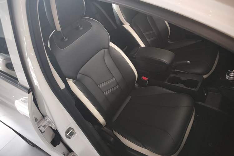 Used Geometry E 2022 320KM Cute Tiger 5-Seater Right Front Seat