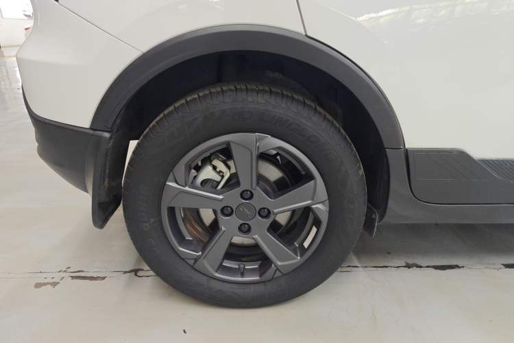 Used Geometry E 2022 320KM Cute Tiger 5-Seater Right Rear Wheel Hub