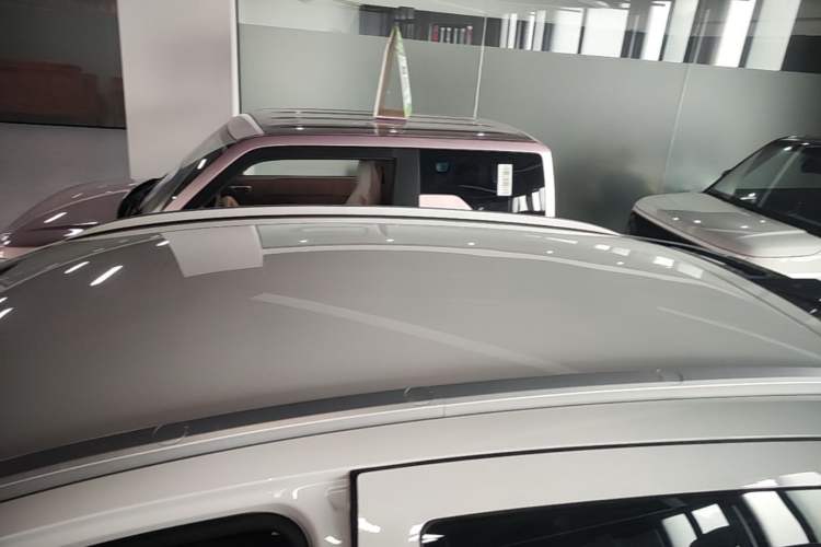 Used Geometry E 2022 320KM Cute Tiger 5-Seater Roof