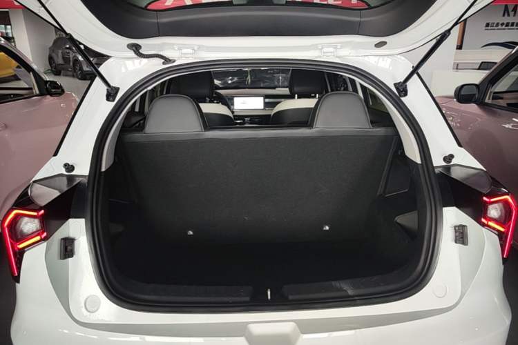 Used Geometry E 2022 320KM Cute Tiger 5-Seater Trunk
