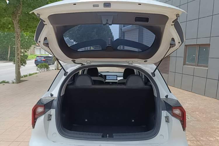 Used Geometry E 2022 320KM Cute Tiger 5-Seater Trunk