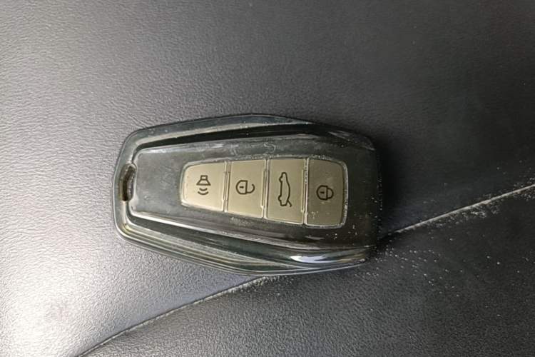 Used Geometry E 2022 320KM Cute Tiger 5-Seater Vehicle Key