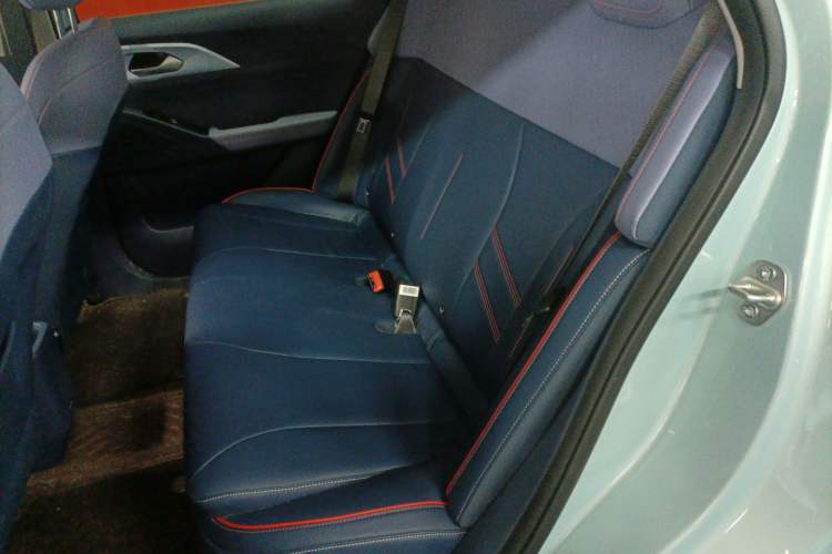 Used Geometry E Firefly 2022 320KM Cute Tiger 4-Seater Left Rear Seat