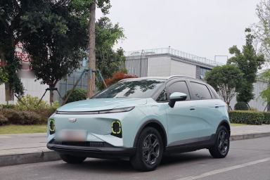 Used Geometry E Firefly 2022 401 km Linglong Tiger 4 Seats