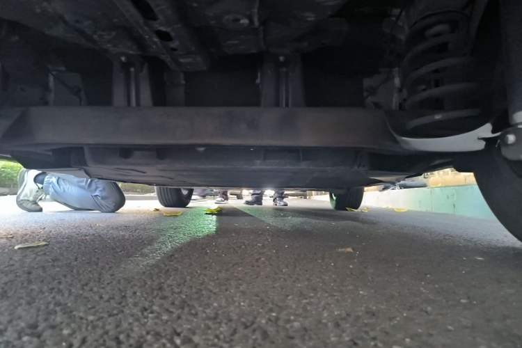 Used Geometry E Firefly 2022 401KM Lightning Tiger 4-Seater Chassis Rear Left
