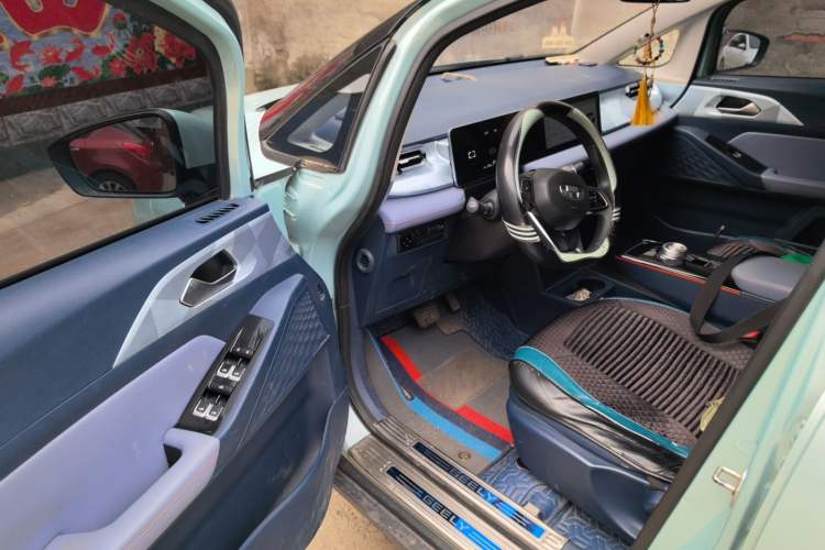 Used Geometry E Firefly 2022 401 km Linglong Tiger 4 Seats Driver Seat