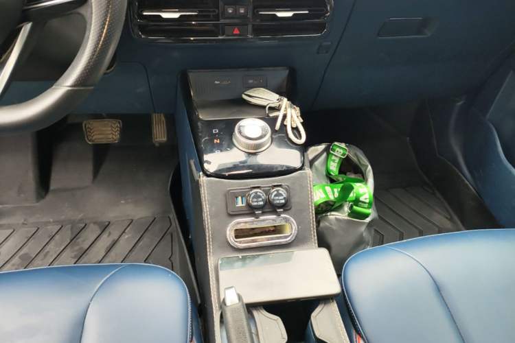 Used Geometry E Firefly 2022 320KM Cute Tiger 4-Seater Gear Lever