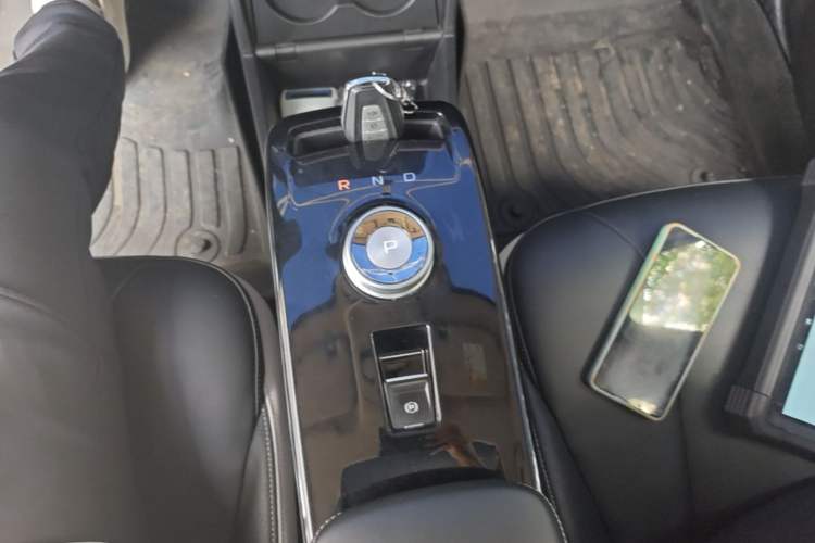 Used Geometry E Firefly 2022 401 km Linglong Tiger 4 Seats Gear Lever