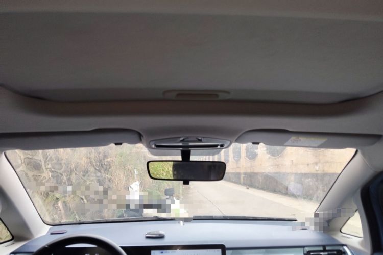 Used Geometry E Firefly 2022 401 km Linglong Tiger 4 Seats Headliner