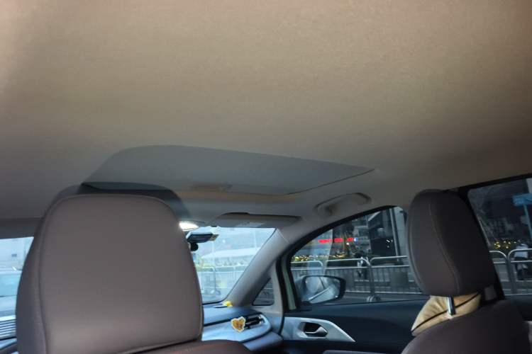 Used Geometry E Firefly 2022 401KM Lightning Tiger 4-Seater Headliner