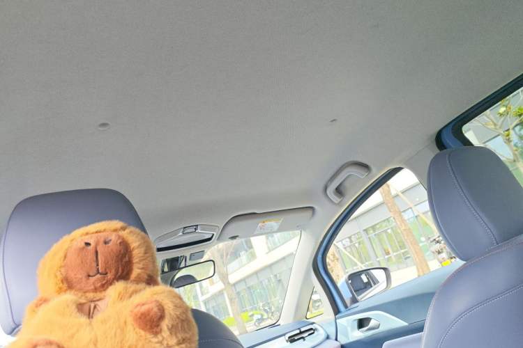 Used Geometry E Firefly 2022 320KM Cute Tiger 4-Seater Headliner