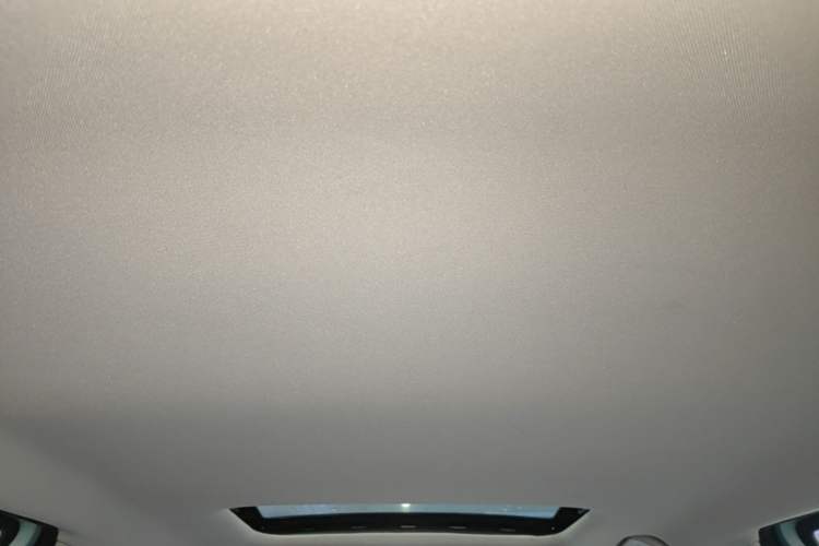 Used Geometry E Firefly 2022 401 km Linglong Tiger 4 Seats Headliner