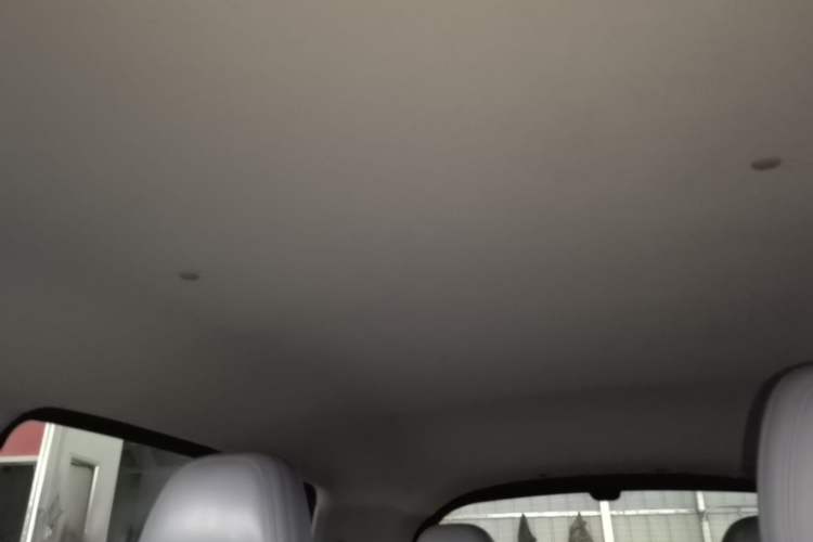 Used Geometry E Firefly 2022 320KM Cute Tiger 4-Seater Headliner