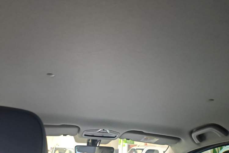 Used Geometry E Firefly 2022 320KM Cute Tiger 4-Seater Headliner