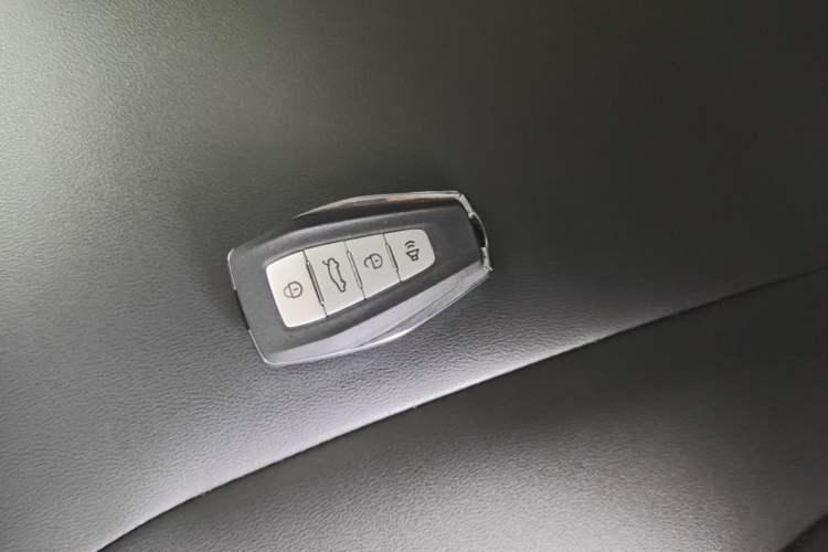 Used Geometry E Firefly 2022 401 km Linglong Tiger 4 Seats Interior 1