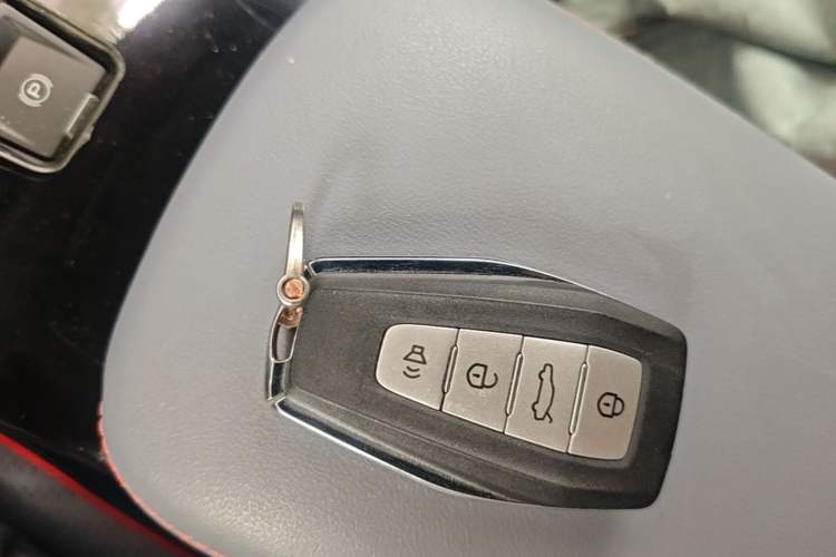 Used Geometry E Firefly 2022 401 km Linglong Tiger 4 Seats Interior 1