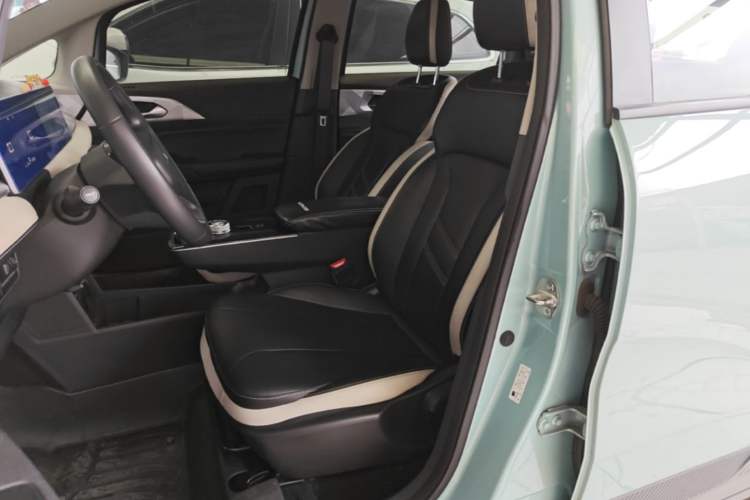 Used Geometry E Firefly 2022 401 km Linglong Tiger 4 Seats Left Front Seat