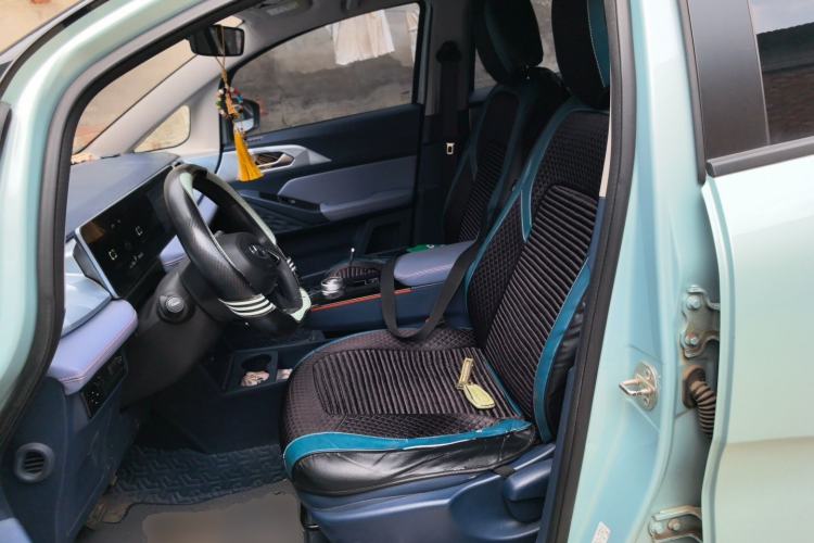 Used Geometry E Firefly 2022 401 km Linglong Tiger 4 Seats Left Front Seat