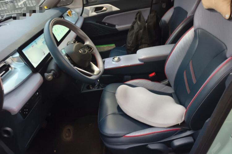 Used Geometry E Firefly 2022 401KM Lightning Tiger 4-Seater Left Front Seat