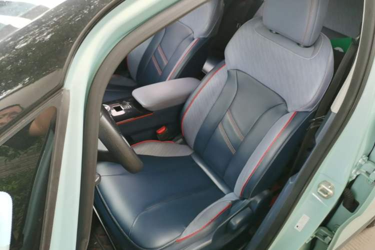 Used Geometry E Firefly 2022 401 km Linglong Tiger 4 Seats Left Front Seat