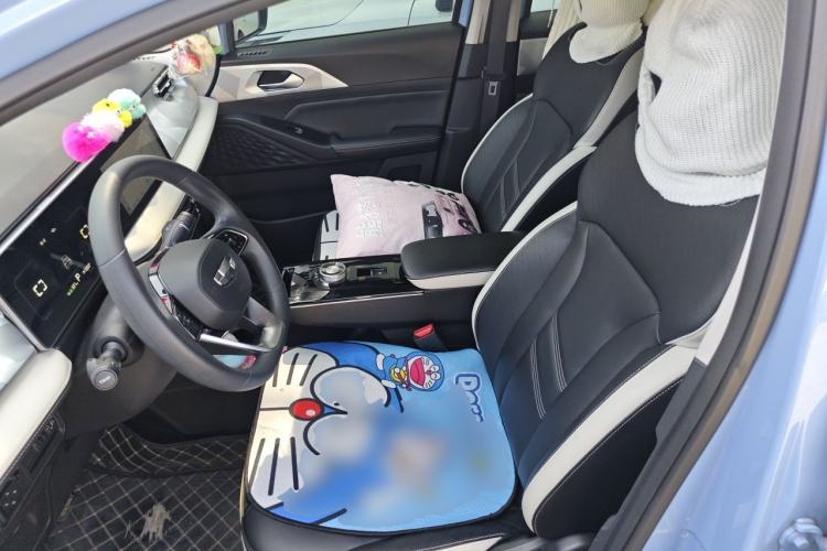 Used Geometry E Firefly 2022 401 km Linglong Tiger 4 Seats Left Front Seat
