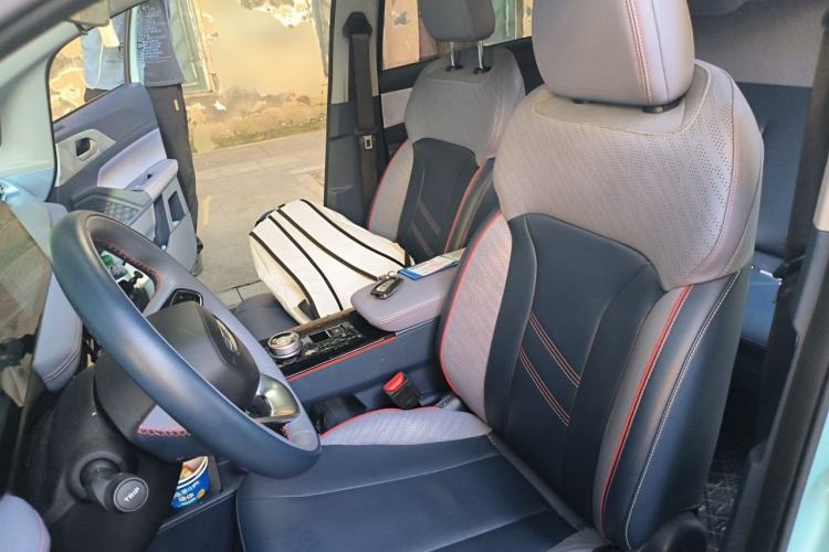 Used Geometry E Firefly 2022 401KM Lightning Tiger 4-Seater Left Front Seat