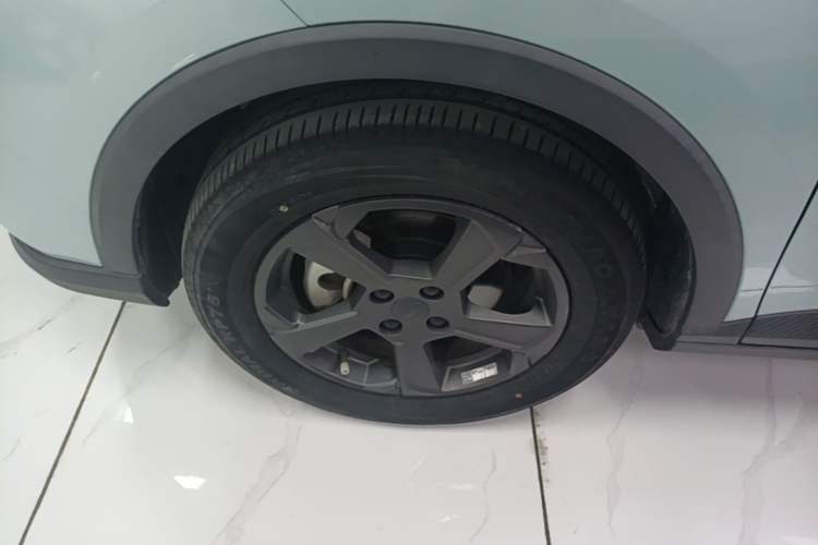 Used Geometry E Firefly 2022 401 km Linglong Tiger 4 Seats Left Front Wheel Hub