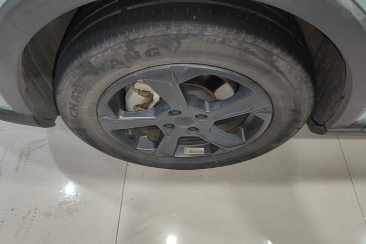 Used Geometry E Firefly 2022 401 km Linglong Tiger 4 Seats Left Front Wheel Hub