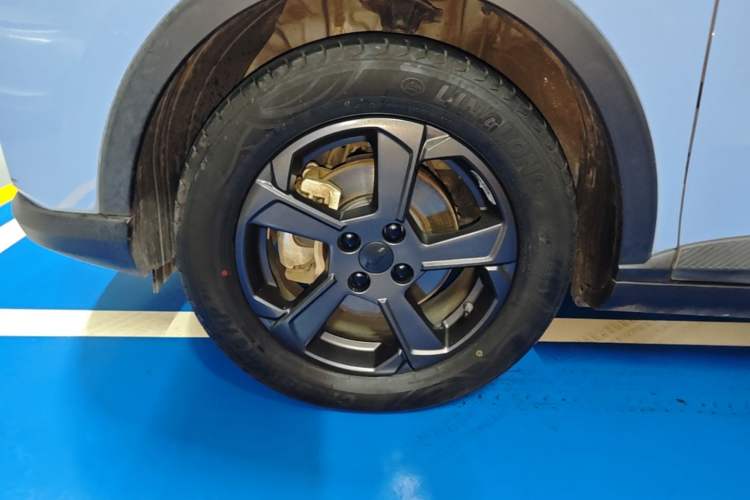 Used Geometry E Firefly 2022 401 km Linglong Tiger 5 Seats Left Front Wheel Hub