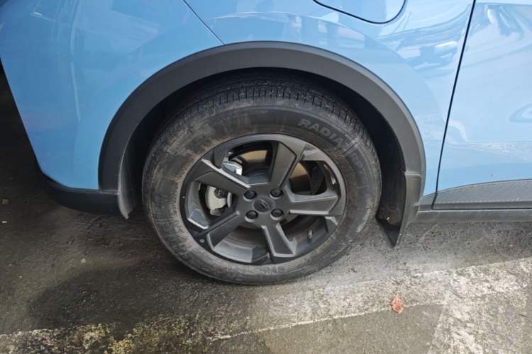 Used Geometry E Firefly 2022 401 km Linglong Tiger 4 Seats Left Front Wheel Hub