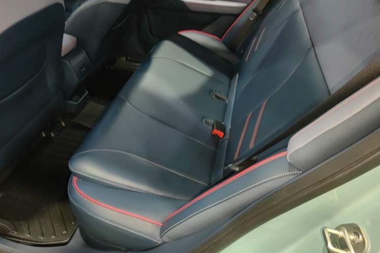 Used Geometry E Firefly 2022 401 km Linglong Tiger 4 Seats Left Rear Seat