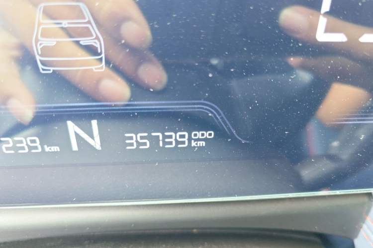 Used Geometry E Firefly 2022 320KM Cute Tiger 4-Seater Odometer Close Up