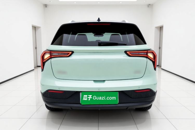 Used Geometry E Firefly 2022 401 km Linglong Tiger 4 Seats Rear