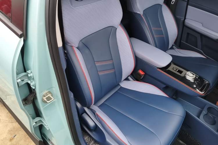 Used Geometry E Firefly 2022 401 km Linglong Tiger 4 Seats Right Front Seat