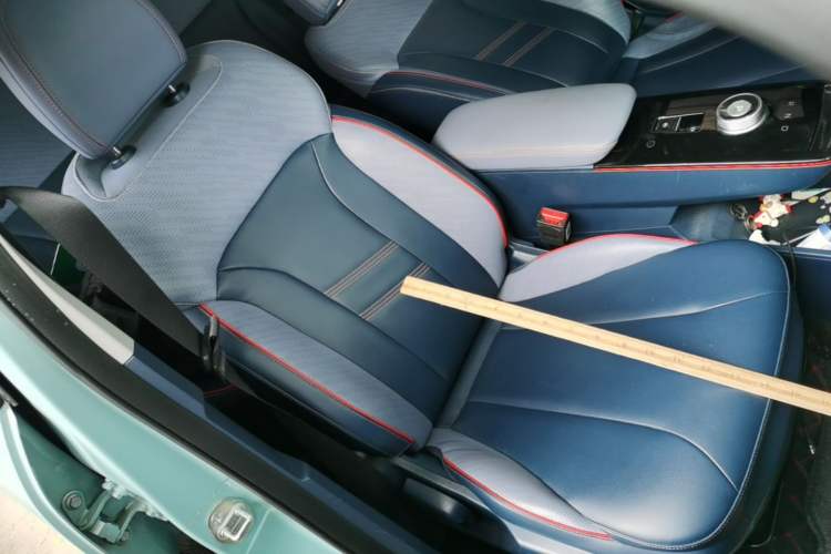 Used Geometry E Firefly 2022 401 km Linglong Tiger 4 Seats Right Front Seat