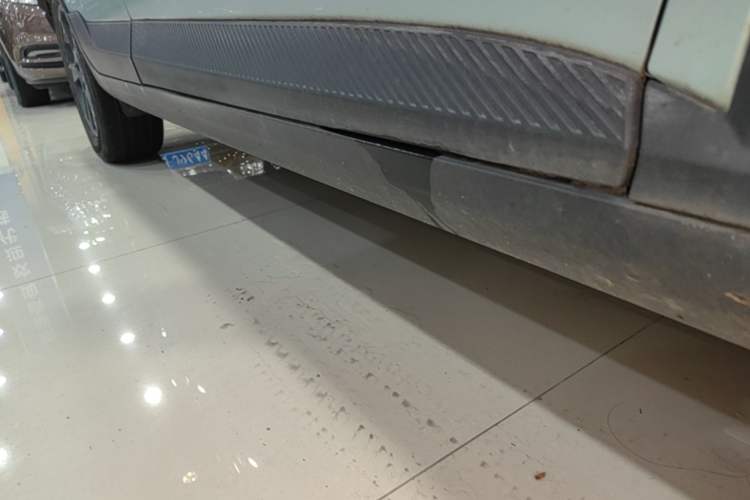 Used Geometry E Firefly 2022 401 km Linglong Tiger 4 Seats Right Side Sill