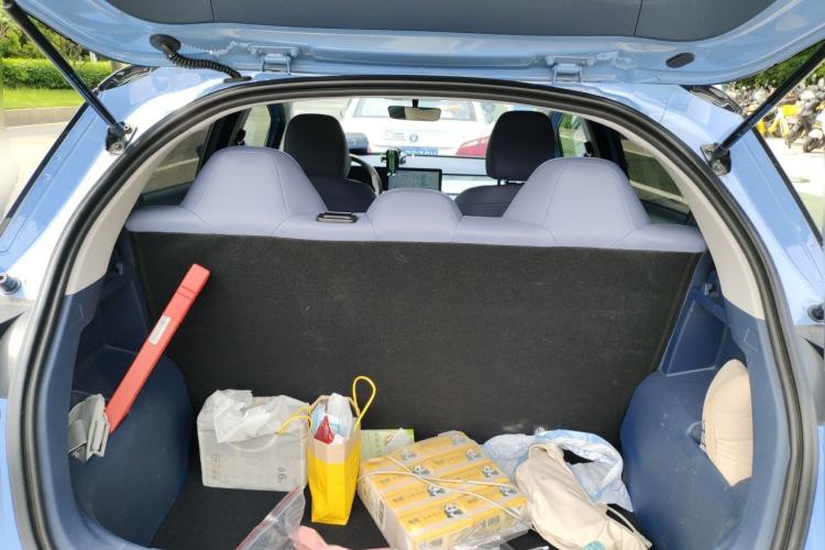 Used Geometry E Firefly 2022 401 km Linglong Tiger 5 Seats Trunk