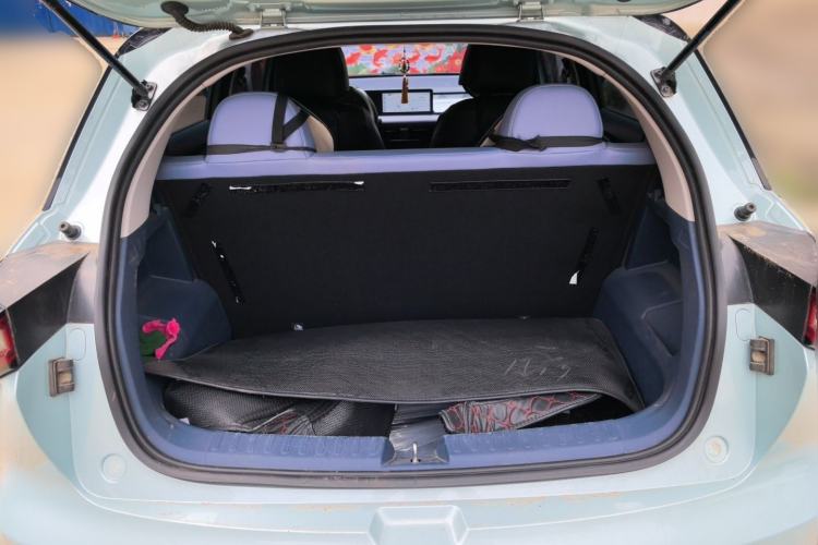 Used Geometry E Firefly 2022 401 km Linglong Tiger 4 Seats Trunk