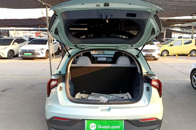 Used Geometry E Firefly 2022 401 km Linglong Tiger 4 Seats Trunk