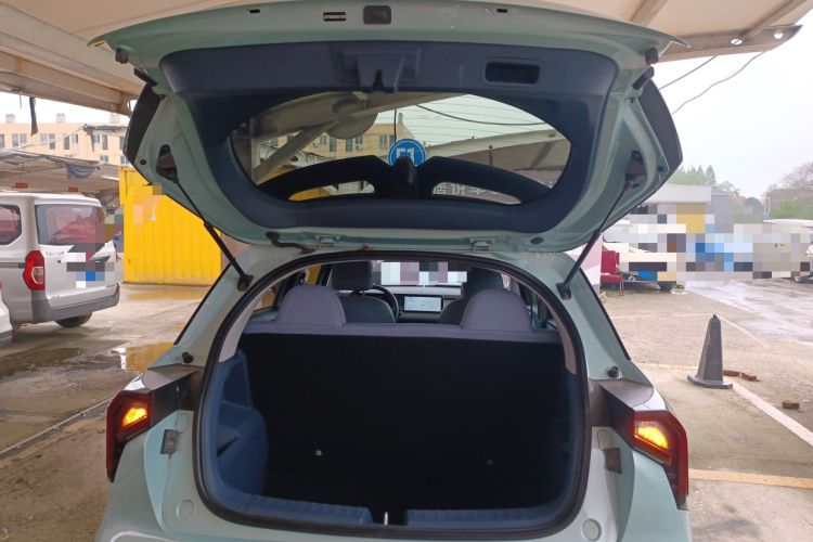 Used Geometry E Firefly 2022 401 km Linglong Tiger 4 Seats Trunk